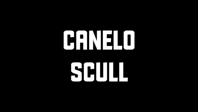 Canelo Alvarez vs William Scull