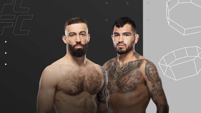 UFC Fight Night: Dolidze vs Hernandez