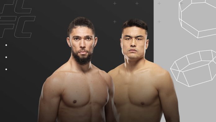 UFC Fight Night: Walker vs Zhang