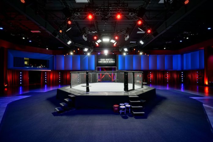 UFC Apex