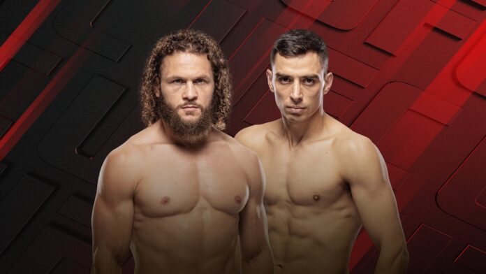 UFC Fight Night: Fiziev vs Torres