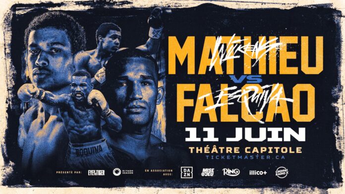 Wilkens Mathieu vs Esquiva Falcao