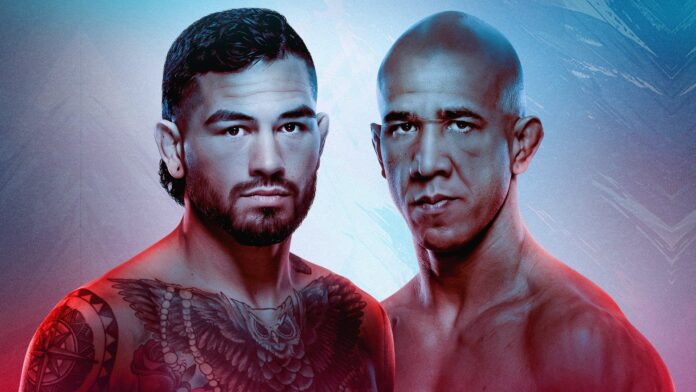 UFC Fight Night: Hernandez vs Rodrigues