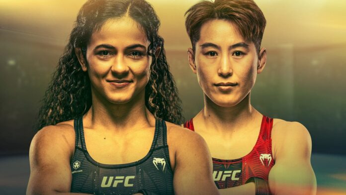 UFC 332: Silva vs Wang