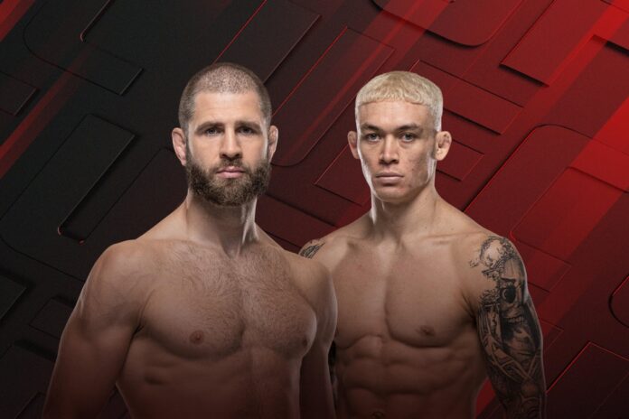 UFC Fight Night: Prochazka vs Stirling